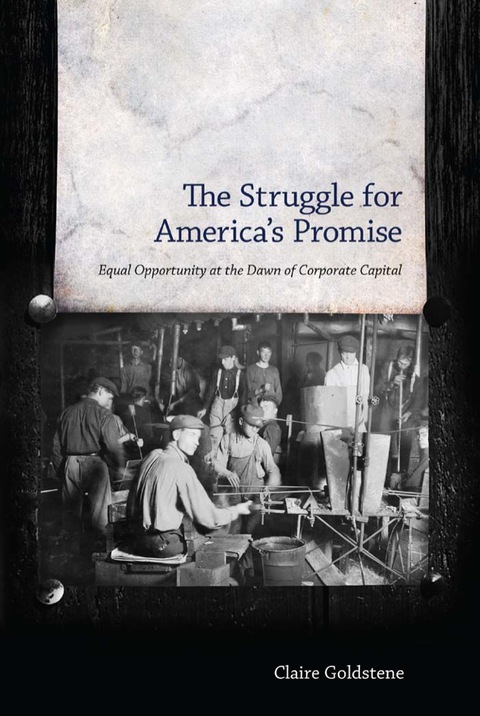 Cover image for book The Struggle for America's Promise