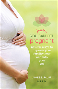 Cover image: Yes, You Can Get Pregnant 1st edition 9781936303694