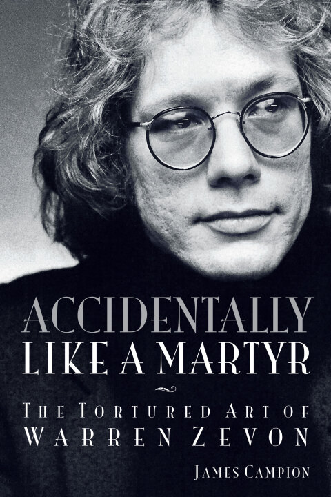 Cover image for book Accidentally Like a Martyr
