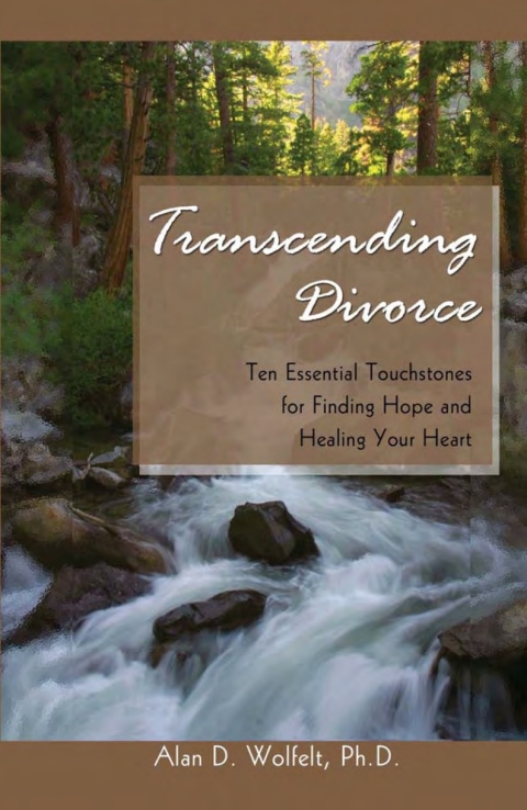 Cover image for book Transcending Divorce