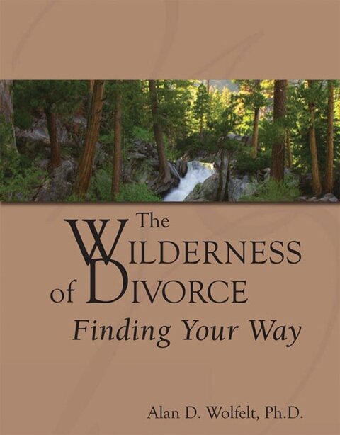Cover image for book The Wilderness of Divorce