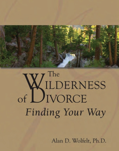 Cover image for book The Wilderness of Divorce