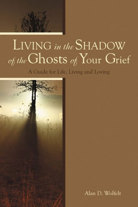 Cover image for book Living in the Shadow of the Ghosts of Grief