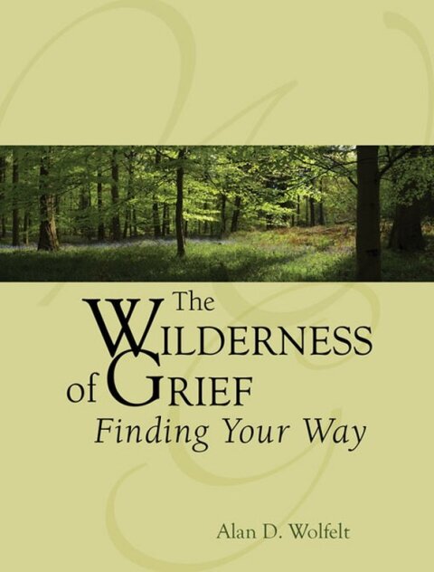 Cover image for book The Wilderness of Grief