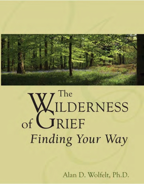 Cover image for book The Wilderness of Grief