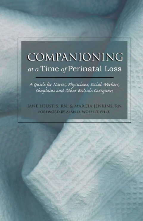 Cover image for book Companioning at a Time of Perinatal Loss
