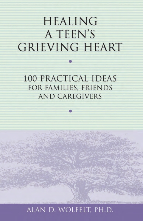 Cover image for book Healing a Teen's Grieving Heart