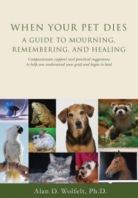 Cover image: When Your Pet Dies 9781879651364