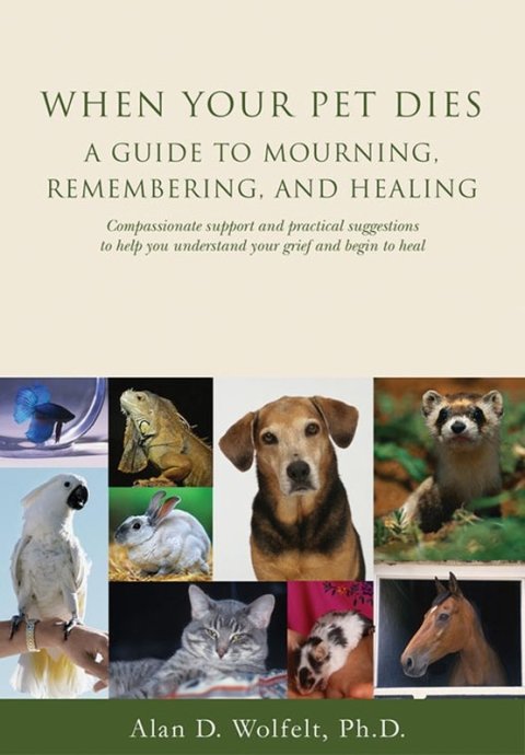 Cover image for book When Your Pet Dies