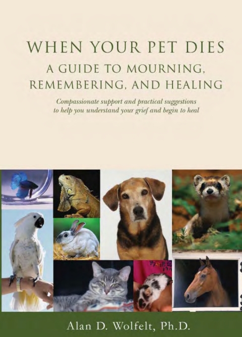 Cover image for book When Your Pet Dies