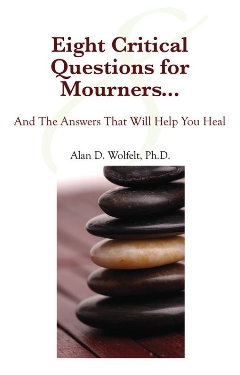Cover image for book Eight Critical Questions for Mourners