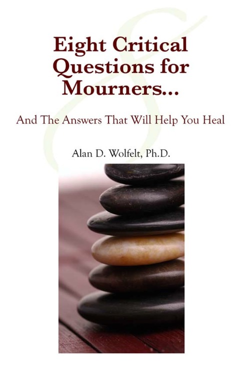 Cover image for book Eight Critical Questions for Mourners
