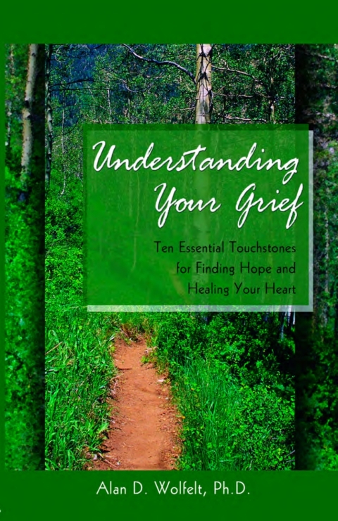 Cover image for book Understanding Your Grief