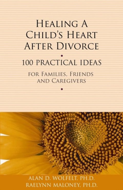 Cover image for book Healing a Child's Heart After Divorce
