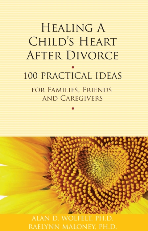 Cover image for book Healing a Child's Heart After Divorce