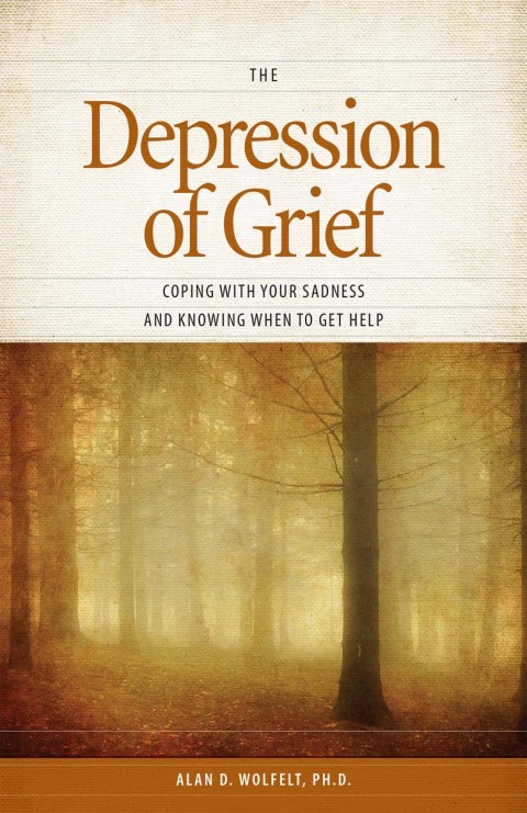 Cover image for book The Depression of Grief