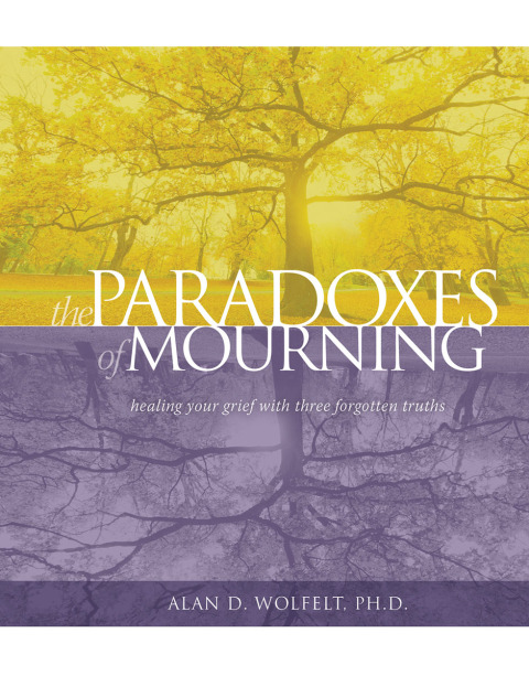 Cover image for book The Paradoxes of Mourning