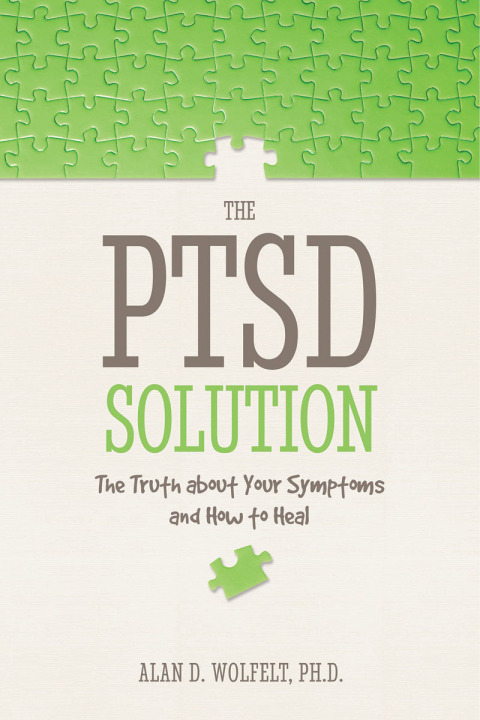 Cover image for book The PTSD Solution