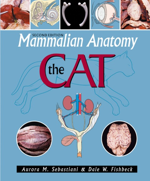 Mammalian Anatomy:Cat (Ll)