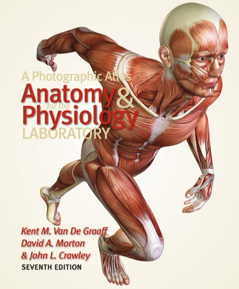 Cover image for book A Photographic Atlas for the Anatomy and Physiology Laboratory