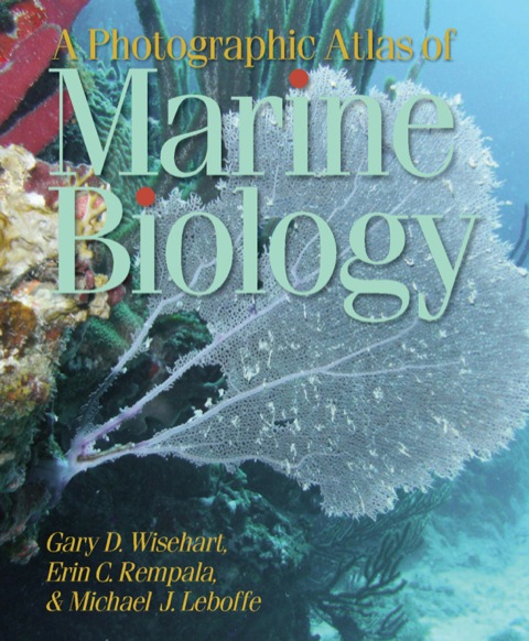 Cover image for book A Photographic Atlas of Marine Biology