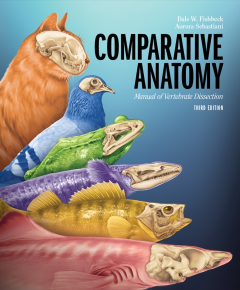 Cover image for book Comparative Anatomy: Manual of Vertebrate Dissection