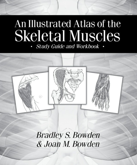 Cover image for book An Illustrated Atlas of the Skeletal Muscles: Study Guide and Workbook