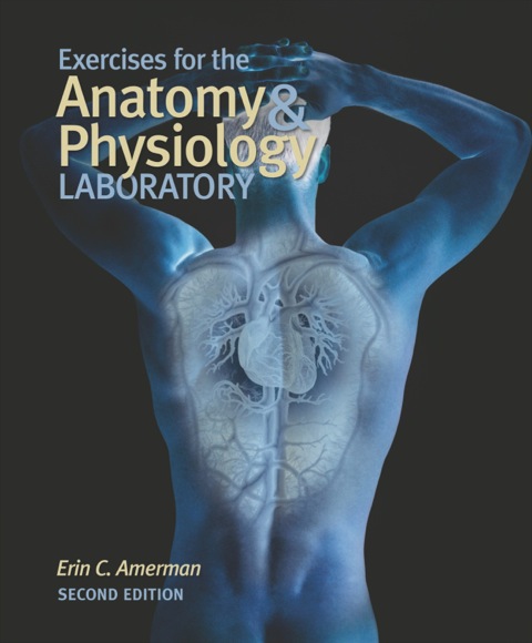 Cover image for book Exercises for the Anatomy & Physiology Laboratory