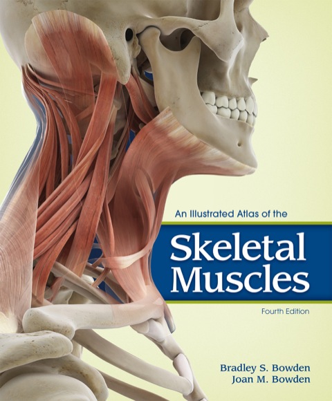 Cover image for book An Illustrated Atlas of the Skeletal Muscles