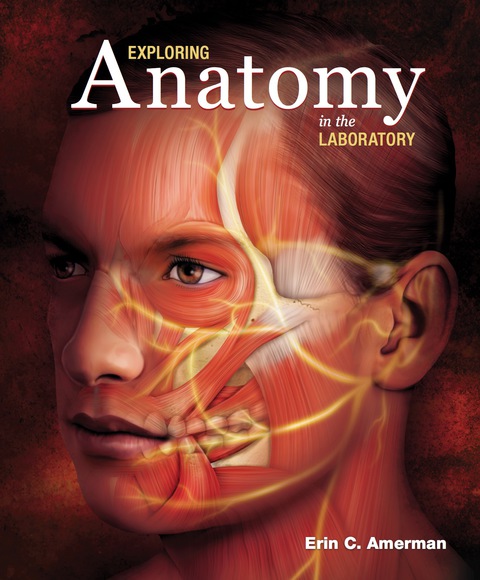 Cover image for book Exploring Anatomy in the Laboratory