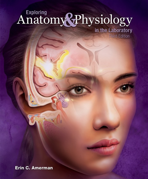 Cover image for book Exploring Anatomy & Physiology in the Laboratory