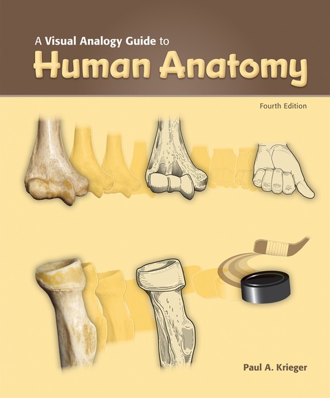 Cover image for book A Visual Analogy Guide to Human Anatomy