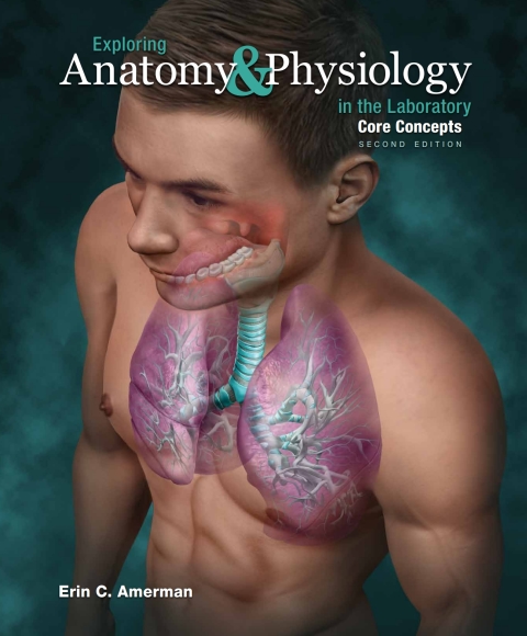 Cover image for book Exploring Anatomy & Physiology in the Laboratory, Core Concepts