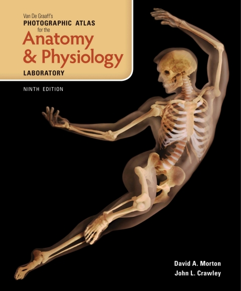 Cover image for book Van De Graaff's Photographic Atlas for the Anatomy and Physiology Laboratory