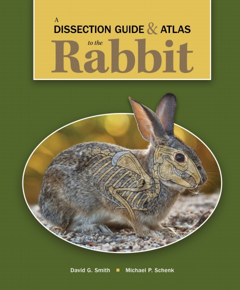 Cover image for book A Dissection Guide & Atlas to the Rabbit