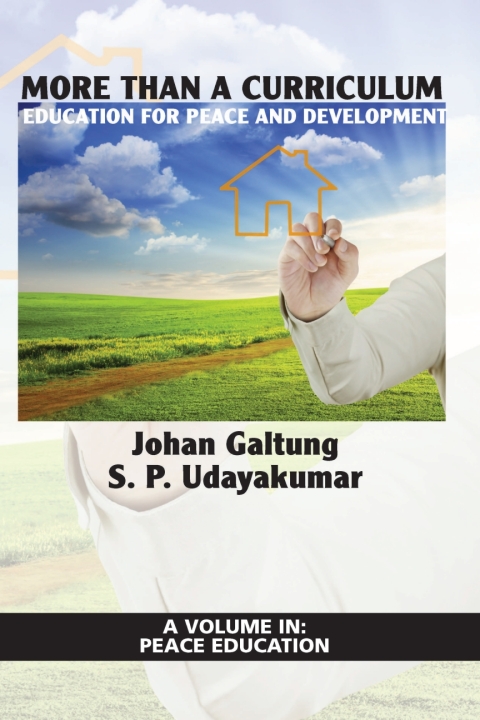 Cover image for book More Than a Curriculum