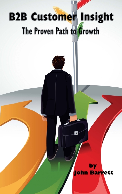 Cover image for book B2B Customer Insight