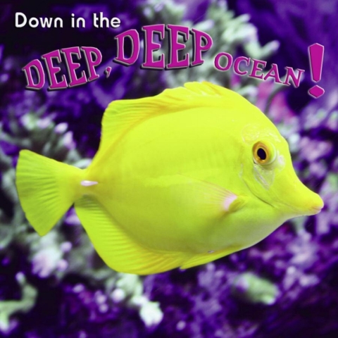 Cover image for book Down in the Deep, Deep, Ocean!
