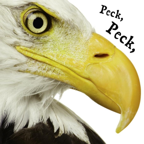 Cover image for book Peck Peck Peck