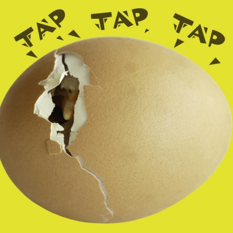 Cover image for book Tap Tap Tap