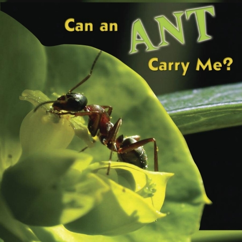 Cover image for book Can an Ant Carry Me?