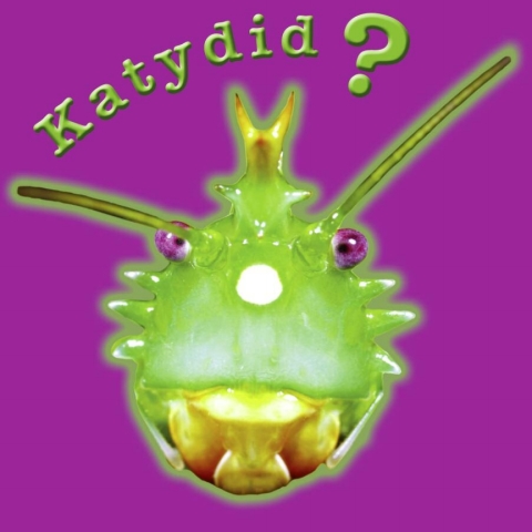 Cover image for book Katydid? Katy Didn't!
