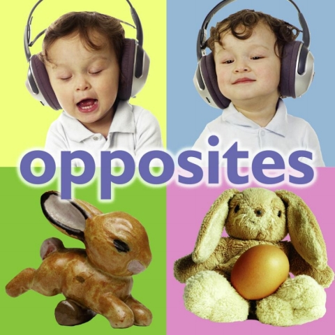 Cover image for book Opposites