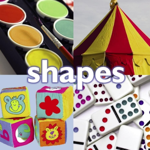 Cover image for book Shapes