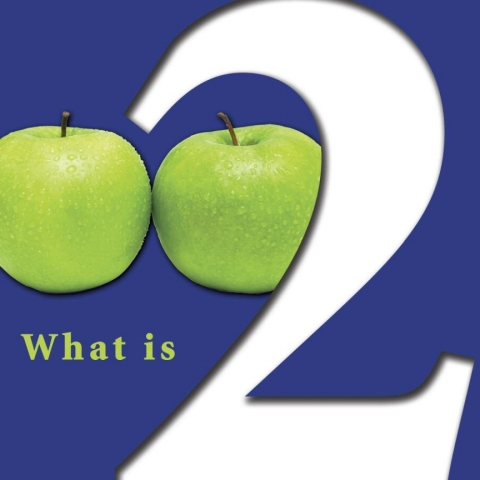Cover image for book What Is Two?