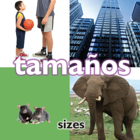 Cover image for book Tamaños