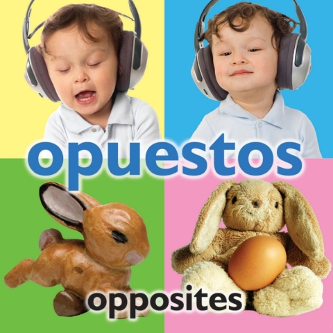 Cover image for book Opuestos