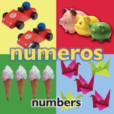 Cover image for book Números