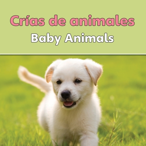 Cover image for book Crias de animales