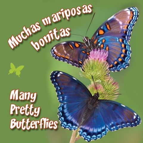 Cover image for book Muchas mariposas bonitas